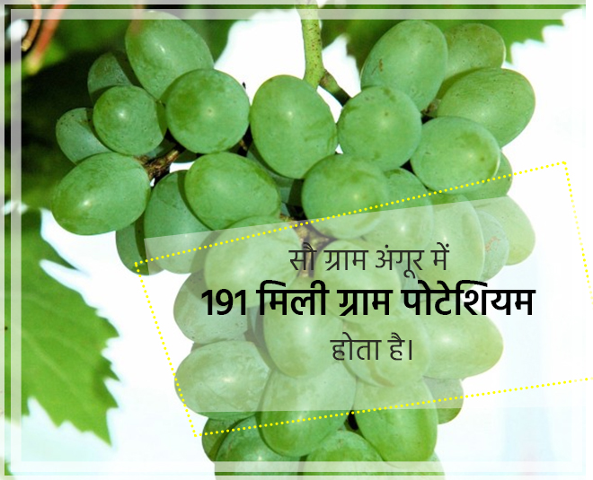 पोटेशियम भी होता है काफी मात्रा में Grapes